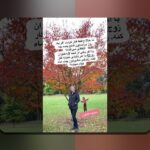 سواد مالی در تصمیم‌گیری خانواده: مواجهه با چالش‌ها و گام‌های ساده برای بهبود مدیریت بودجه خانوادگی